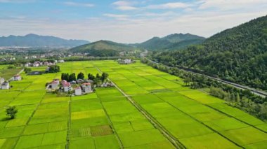 Büyük pirinç tarlası ve dağ köyü.