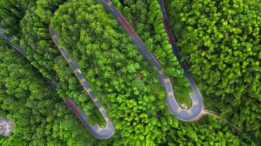Yeşil bitkilerle kıvrımlı dağ yolu