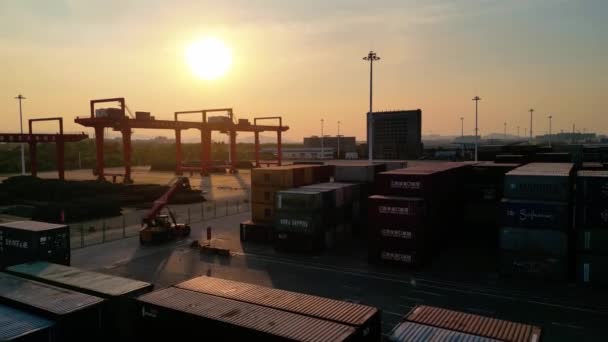 Vue Aérienne Terminal Conteneurs Shanghai — Video