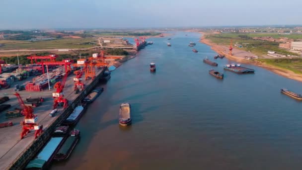 Vedere Aeriană Terminalului Containere Shanghai — Videoclip de stoc