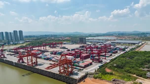 Vista Aerea Del Terminal Container Shanghai — Video Stock