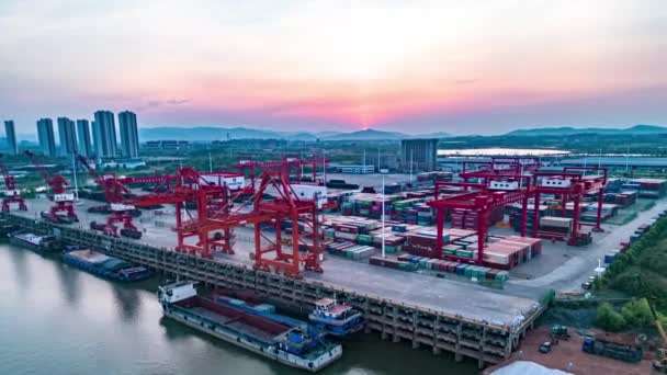 Aerial View Shanghai Container Terminal — Stock Video