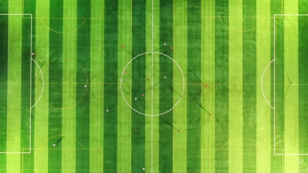 サッカー場でサッカーをするアスリートの空中ビュー — ストック動画