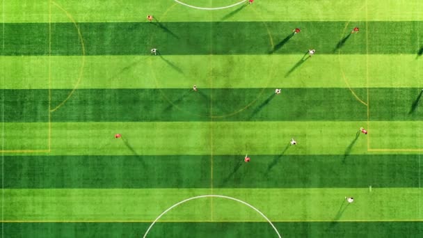 Luftaufnahme Von Athleten Die Auf Einem Fußballplatz Fußball Spielen — Stockvideo