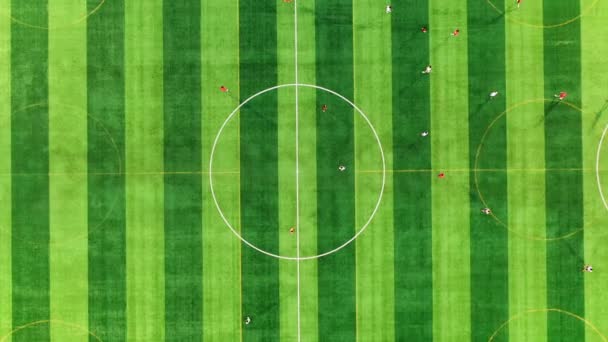 Vue Aérienne Athlètes Jouant Soccer Sur Terrain Soccer — Video