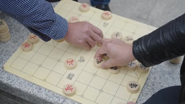 Senior Men Playing Chess Park — Stock Video