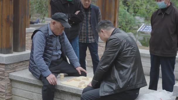 老年人在公园下棋 — 图库视频影像