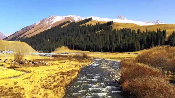 Montañas Nevadas Paisajes Xinjiang China — Vídeo de stock