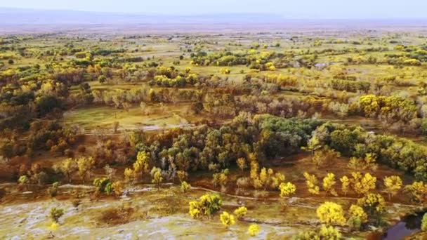 新疆地质特征 背景旅游地点 — 图库视频影像