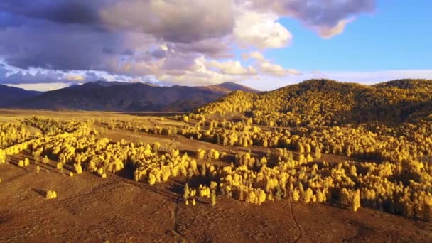 Αεροφωτογραφία Πάνω Από Φθινοπωρινά Δέντρα Στην Κίνα Βουνά — Αρχείο Βίντεο
