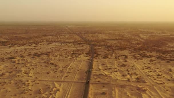 Taklamakan 사막의 아름다운 — 비디오