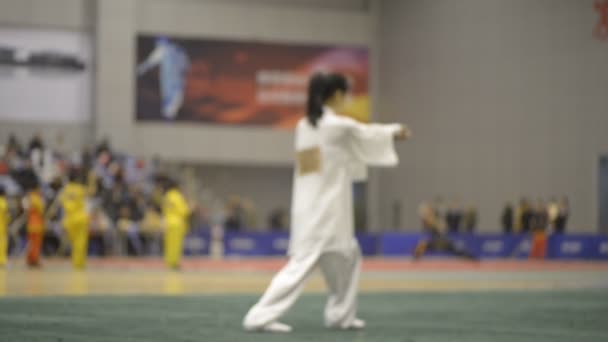 Pessoas Treinamento Artes Marciais Exercitando Taekwondo — Vídeo de Stock