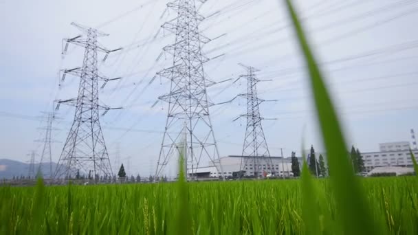 Outdoor Rural Power Towers Daytime — Stock Video