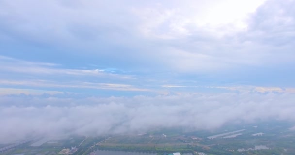 Nubes Orgánicas Reales Aviones — Vídeos de Stock