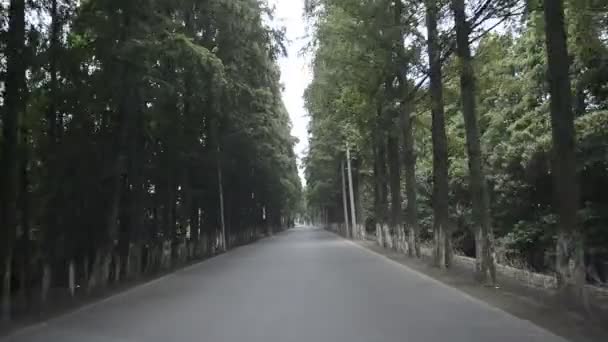 Jalan Melingkar Taman Hijau — Stok Video
