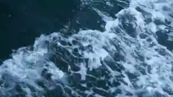 Поверхность Моря Тропой — стоковое видео