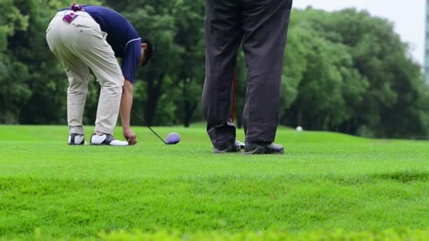 Muž Hraje Golf Zelené Louce Létě — Stock video