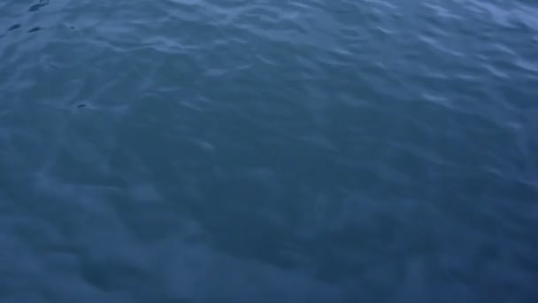 日中の海水面をリッピング — ストック動画