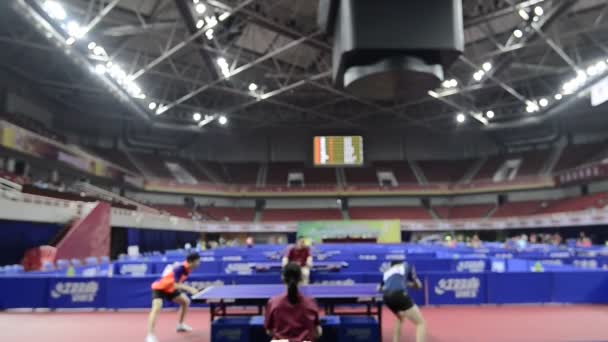 Players Table Tennis Match Sport — Stock Video