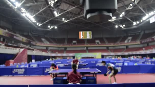 乒乓球比赛 体育运动中的选手 — 图库视频影像