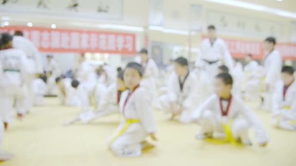Άνθρωποι Στις Πολεμικές Τέχνες Εκπαίδευση Άσκηση Taekwondo — Αρχείο Βίντεο