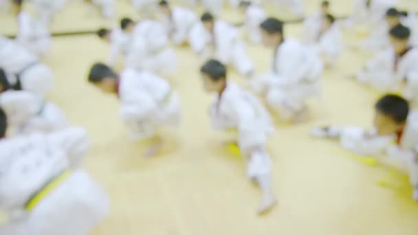 Άνθρωποι Στις Πολεμικές Τέχνες Εκπαίδευση Άσκηση Taekwondo — Αρχείο Βίντεο