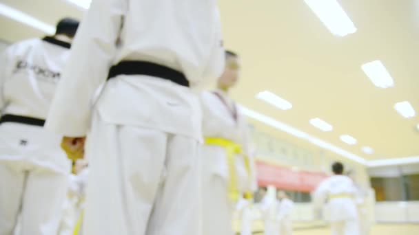 Folk Kampsport Træning Udøver Taekwondo – Stock-video