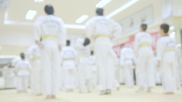 テコンドーを練習する武道訓練の人々 — ストック動画