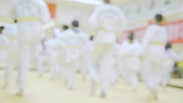 Persone Formazione Arti Marziali Che Esercitano Taekwondo — Video Stock
