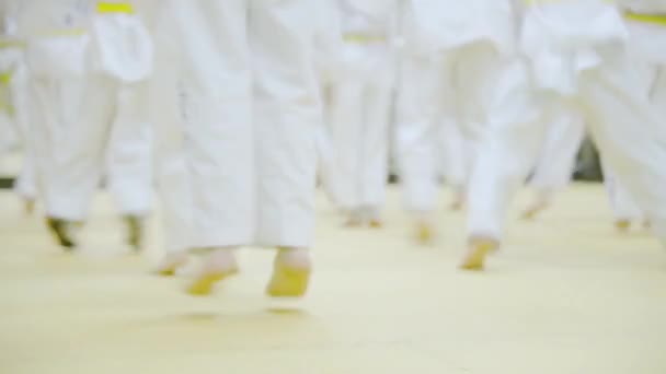 Lidé Výcviku Bojových Umění Cvičení Taekwondo — Stock video