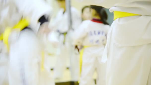Personas Entrenamiento Artes Marciales Practicando Taekwondo — Vídeo de stock