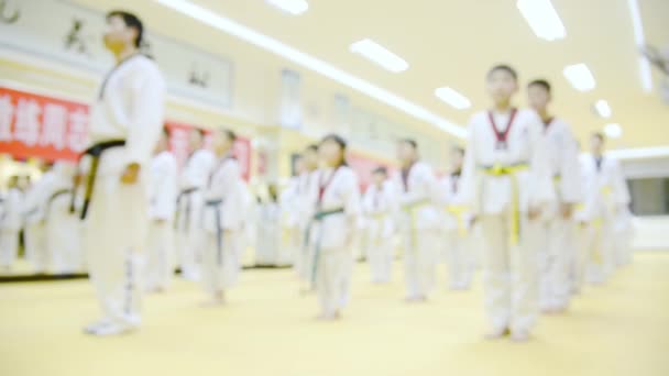 Personas Entrenamiento Artes Marciales Practicando Taekwondo — Vídeo de stock