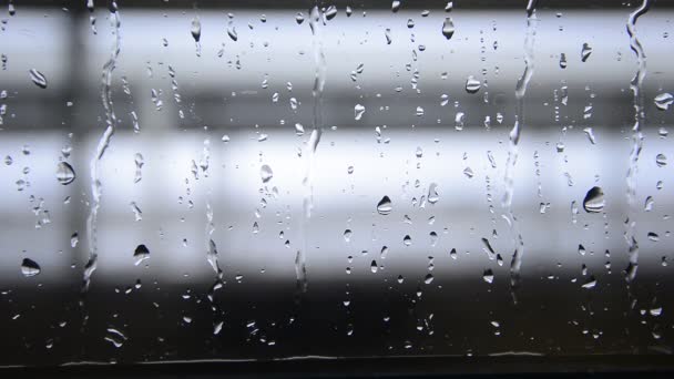 Rain Drops Glass Falling — Stock Video