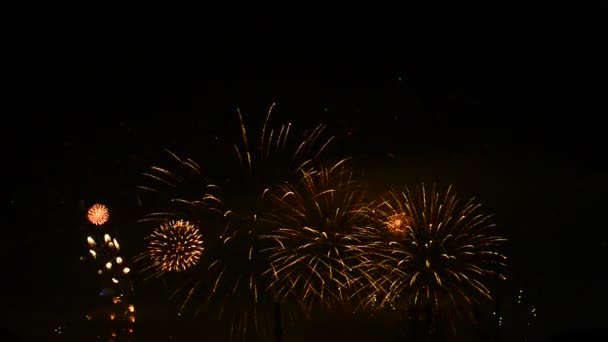 Multiple Fireworks Dark Sky City — Stock Video
