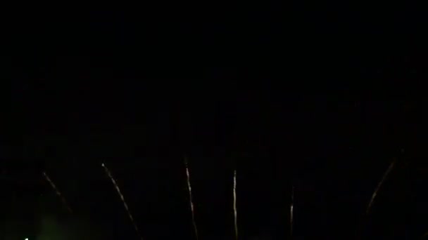 Több Tűzijáték Sötét Égen Város Felett — Stock videók