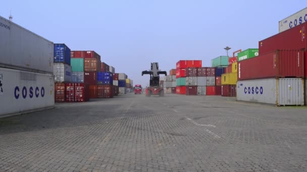 Cina Container Terminal Concetto Trasporto — Video Stock
