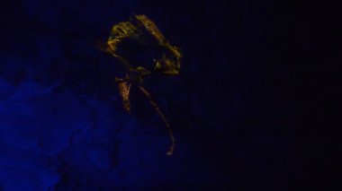 Lazer gösterisiyle mağaranın içinde kaya oluşumları