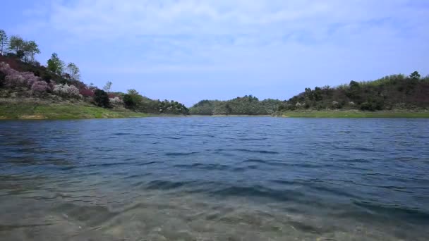 Hermosa Vista Sobre Agua Clara Del Río Montaña — Vídeos de Stock