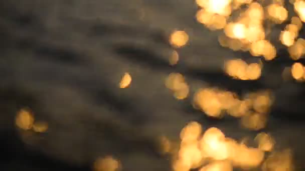Abstract Background Bokeh Defocused Lights — Stock Video