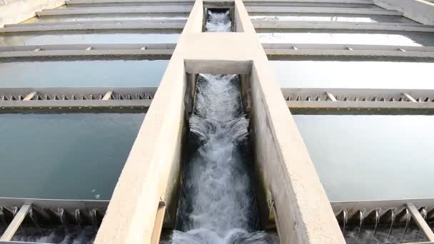Moderne Stedelijke Rioolwaterzuiveringsinstallatie — Stockvideo