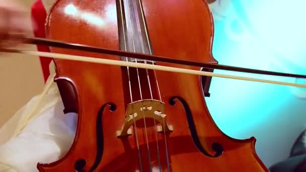 Вертикальний Знімок Жіночих Рук Грають Скрипці — стокове відео