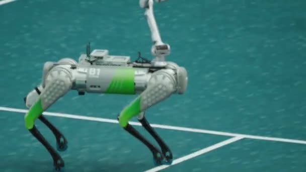 Ausstellung Moderner Roboter China — Stockvideo