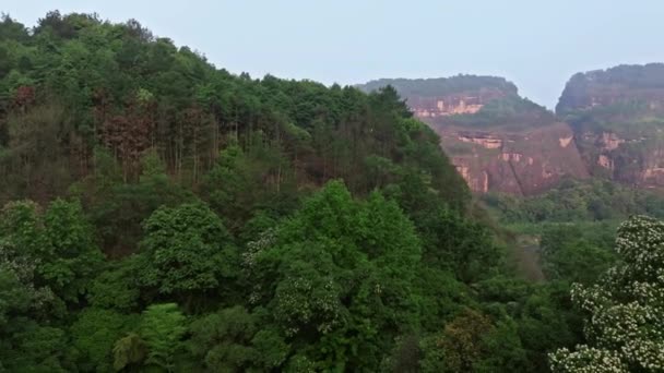 Taoismo Cinese Jiangxi Monte Longhu — Video Stock
