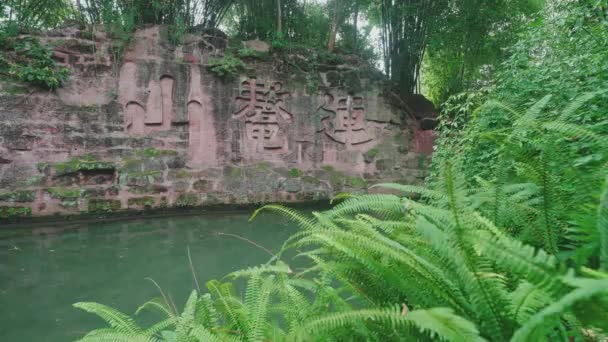 Leshan Giant Buddha Scenic Area Património Mundial Local Histórico Famoso — Vídeo de Stock