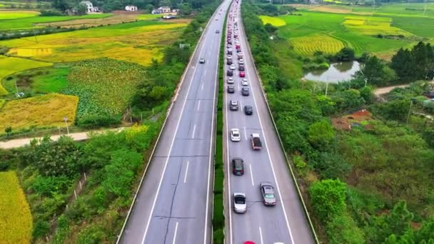 Денний Вид Дорогу Автомобілями Азії — стокове відео