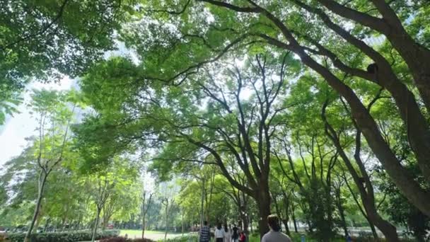 Shanghai July Berjalan Melalui Taman Disney Terbesar Dunia Daerah Pudong — Stok Video