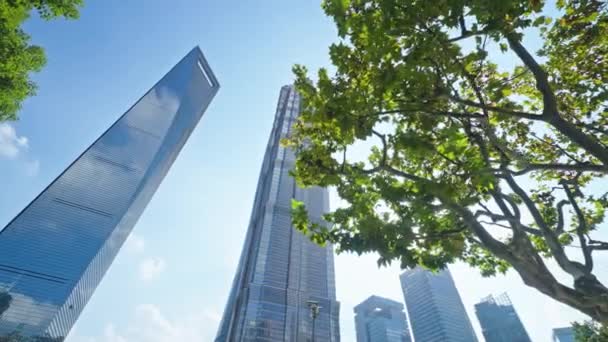 Shanghai City China Modern Architecture — Stock Video