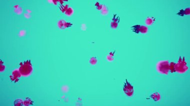 Şangay okyanus akvaryumunda denizanaları 