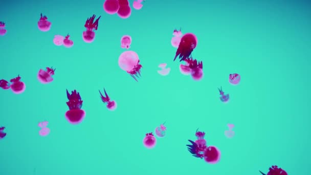 Jellyfishes Shanghai Ocean Aquarium — Stock Video
