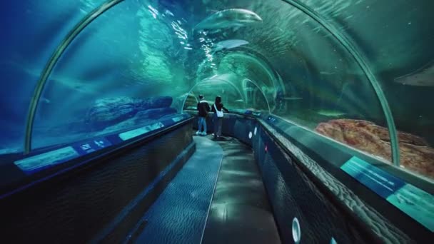 Interior View Walking Shanghai Ocean Aquarium — Stock Video